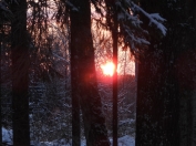 Ziemeļvidzeme - Igaunija skatu torņi ziemā